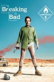 Breaking Bad: Season 1